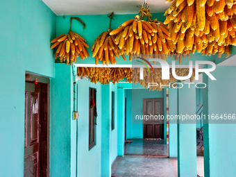 Corn hangs outside a home in Sainji Village (Corn Village) in Mussoorie, Uttarakhand, India, on April 18, 2024. This village is famous for t...