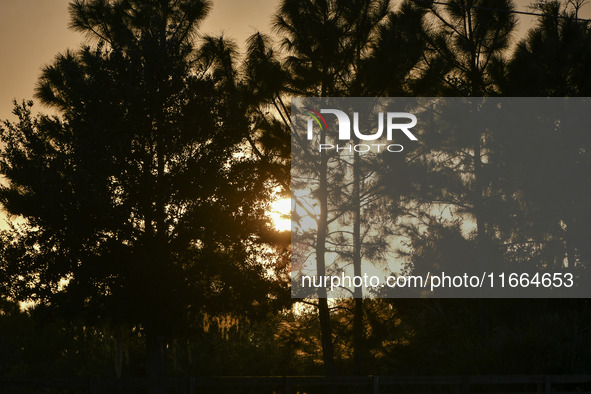 The sunset appears between clouds and trees, with an orange hue, at the end of the day on Sunday, August 13, 2023, in Florida, US. 