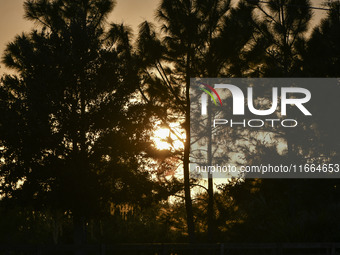 The sunset appears between clouds and trees, with an orange hue, at the end of the day on Sunday, August 13, 2023, in Florida, US. (