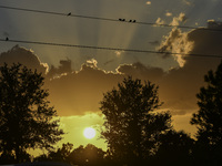 The sunset appears between clouds and trees, with an orange hue, at the end of the day on Sunday, August 13, 2023, in Florida, US. (