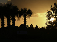 The sunset appears between clouds and trees, with an orange hue, at the end of the day on Sunday, August 13, 2023, in Florida, US. (