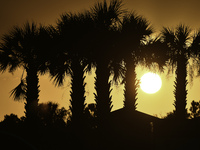 The sunset appears between clouds and trees, with an orange hue, at the end of the day on Sunday, August 13, 2023, in Florida, US. (