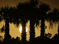 The sunset appears between clouds and trees, with an orange hue, at the end of the day on Sunday, August 13, 2023, in Florida, US. (