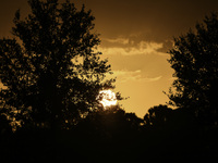 The sunset appears between clouds and trees, with an orange hue, at the end of the day on Sunday, August 13, 2023, in Florida, US. (