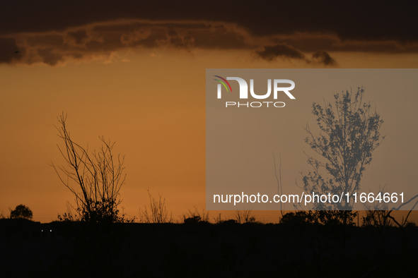 The sunset appears between clouds and trees, with an orange hue, at the end of the day on Sunday, August 13, 2023, in Florida, US. 