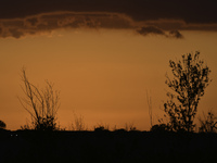 The sunset appears between clouds and trees, with an orange hue, at the end of the day on Sunday, August 13, 2023, in Florida, US. (