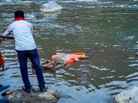 Hindu devotees immerse an idol of the Hindu goddess Durga into the Bagmati River in Kathmandu, Nepal, on October 14, 2024. In Hindu mytholog...