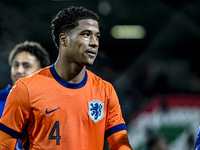 Netherlands player Ryan Flamingo participates in the match between Netherlands U21 and Sweden U21 at the Goffertstadion for the Qualificatio...