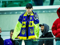 A Ukraine fan attends a football match of the UEFA Nations League between the Ukraine and Czechia national teams in Wroclaw, Poland, on Octo...