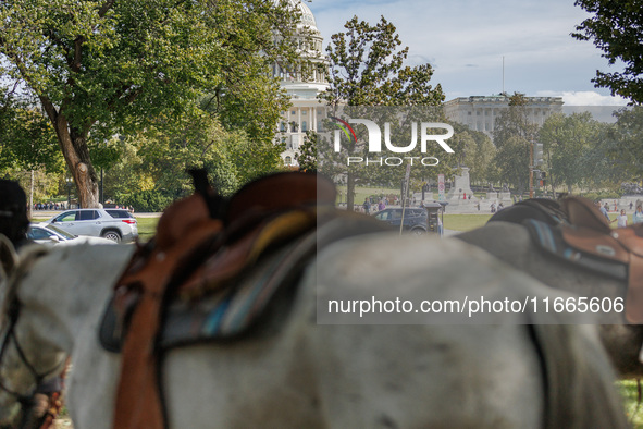 Members of the Muwekma Ohlone Tribe of the San Francisco Bay Area, along with other tribal groups and their supporters, arrive on horseback...