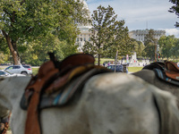 Members of the Muwekma Ohlone Tribe of the San Francisco Bay Area, along with other tribal groups and their supporters, arrive on horseback...