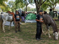 Members of the Muwekma Ohlone Tribe of the San Francisco Bay Area, along with other tribal groups and their supporters, set up an encampment...