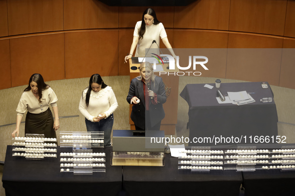 Senator Veronica Camino Farjat serves as Secretary of the Mexican Senate during the drawing of lots for judgeships for the Judiciary in the...