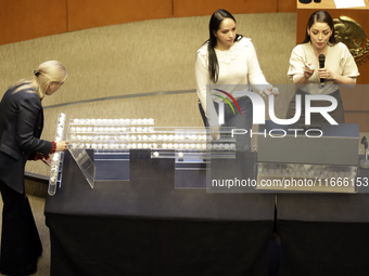 Senator Julieta Andrea Ramirez participates in the drawing of lots for judgeships for the Judiciary during the session in the Mexican Senate...