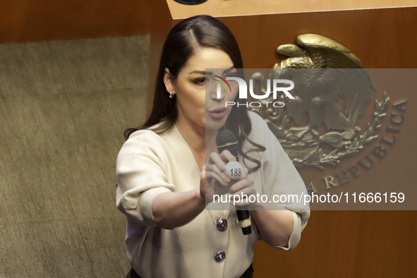 Senator Julieta Andrea Ramirez participates in the drawing of lots for judgeships for the Judiciary during the session in the Mexican Senate...