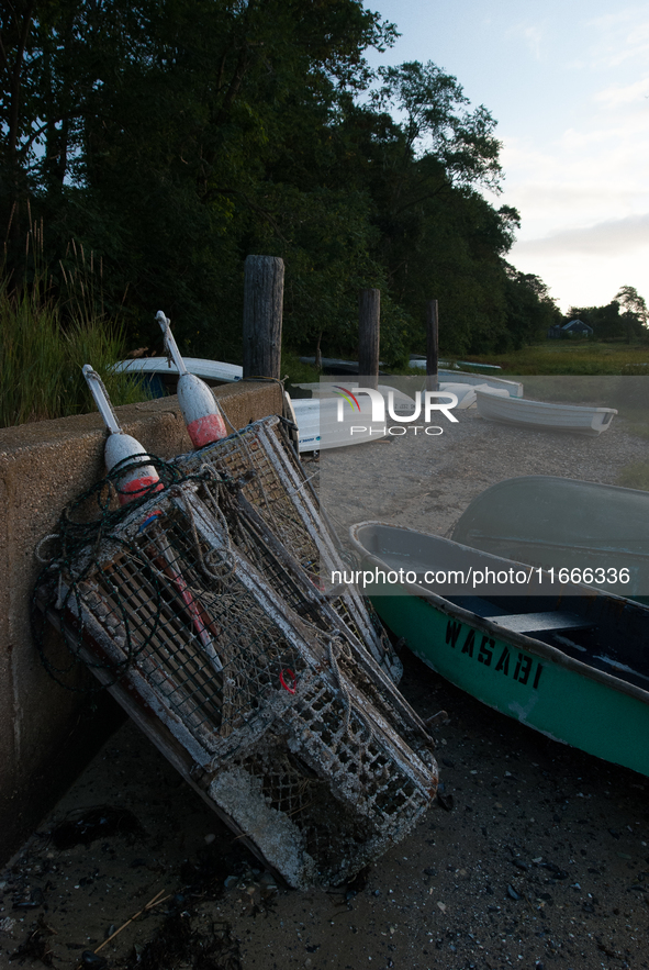 Barnacle-covered and decaying lobster traps, locally known as lobster pots. 