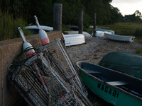 Barnacle-covered and decaying lobster traps, locally known as lobster pots. (