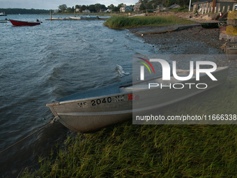 All of the fishermen here use small boats to tend to and harvest their shellfish farms (