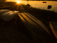 All of the fishermen here use small boats to tend to and harvest their shellfish farms (