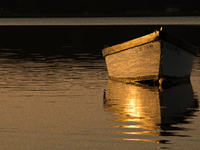 All of the fishermen here use small boats to tend to and harvest their shellfish farms (