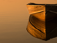 All of the fishermen here use small boats to tend to and harvest their shellfish farms (