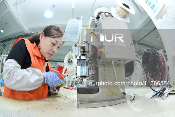 Workers produce new energy commercial vehicle parts at a workshop in Haian, Jiangsu province, China, on October 15, 2024. 