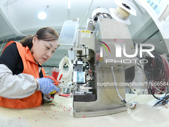 Workers produce new energy commercial vehicle parts at a workshop in Haian, Jiangsu province, China, on October 15, 2024. (