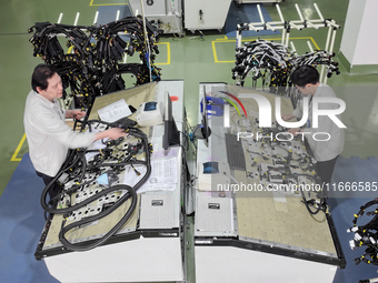 Workers produce new energy commercial vehicle parts at a workshop in Haian, Jiangsu province, China, on October 15, 2024. (