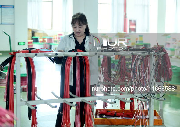 Workers produce new energy commercial vehicle parts at a workshop in Haian, Jiangsu province, China, on October 15, 2024. 