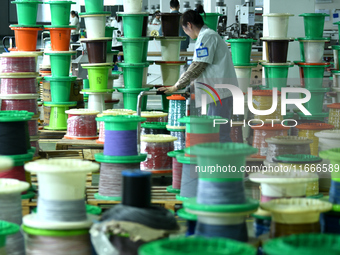 Workers produce new energy commercial vehicle parts at a workshop in Haian, Jiangsu province, China, on October 15, 2024. (