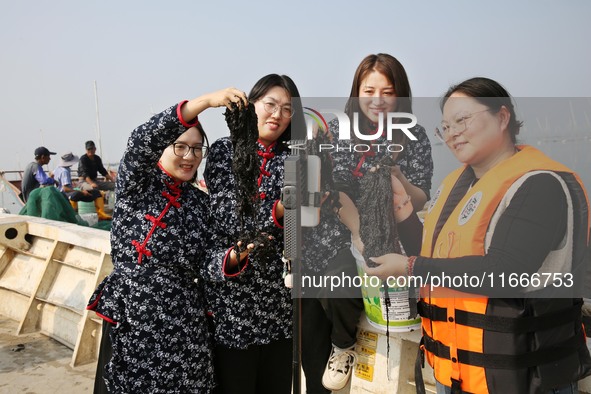 Internet anchors sell fresh laver via live streaming at sea in Lianyungang, China, on October 15, 2024. 