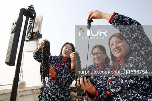 Internet anchors sell fresh laver via live streaming at sea in Lianyungang, China, on October 15, 2024. 