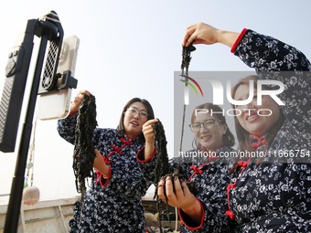 Internet anchors sell fresh laver via live streaming at sea in Lianyungang, China, on October 15, 2024. (