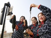 Internet anchors sell fresh laver via live streaming at sea in Lianyungang, China, on October 15, 2024. (