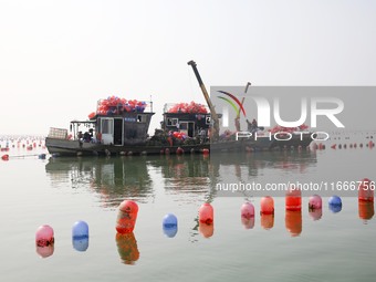 Farmers release new varieties of oyster seedlings in an oyster culture area in Lianyungang, China, on October 15, 2024. (