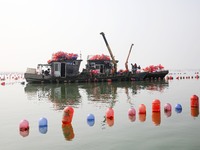 Farmers release new varieties of oyster seedlings in an oyster culture area in Lianyungang, China, on October 15, 2024. (