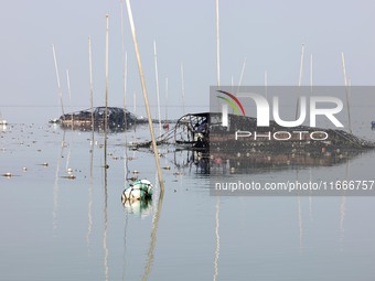 A laver harvester harvests the first crop of laver at the ''Ocean Ranch'' in Lianyungang, China, on October 15, 2024. (