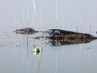 A laver harvester harvests the first crop of laver at the ''Ocean Ranch'' in Lianyungang, China, on October 15, 2024. (