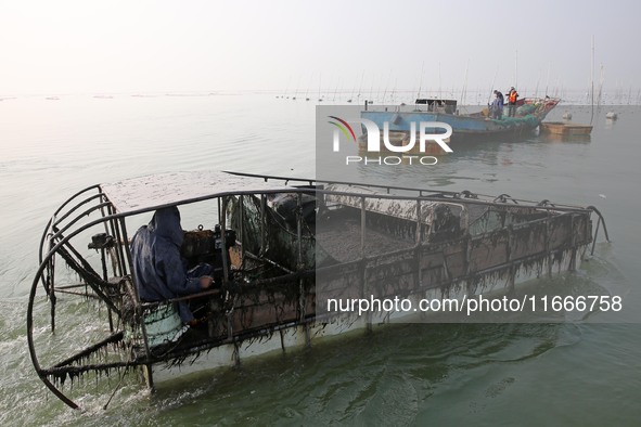 A laver harvesting ship prepares for unloading in Lianyungang, China, on October 15, 2024. 