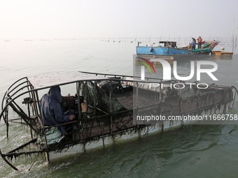 A laver harvesting ship prepares for unloading in Lianyungang, China, on October 15, 2024. (