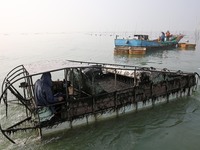 A laver harvesting ship prepares for unloading in Lianyungang, China, on October 15, 2024. (