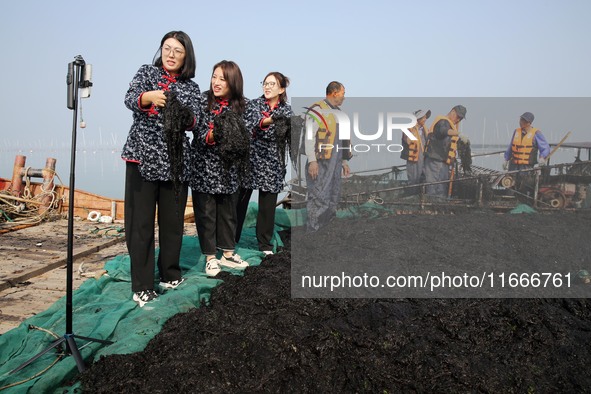 Internet anchors sell fresh laver via live streaming at sea in Lianyungang, China, on October 15, 2024. 