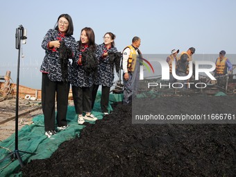 Internet anchors sell fresh laver via live streaming at sea in Lianyungang, China, on October 15, 2024. (