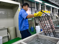 A worker electroplates metal jewelry at a jewelry processing plant in Jinhua, China, on October 15, 2024. (