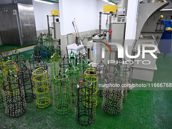 A worker electroplates metal jewelry at a jewelry processing plant in Jinhua, China, on October 15, 2024. (