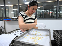 A worker sorts metal ornaments at a jewelry processing plant in Jinhua, China, on October 15, 2024. (