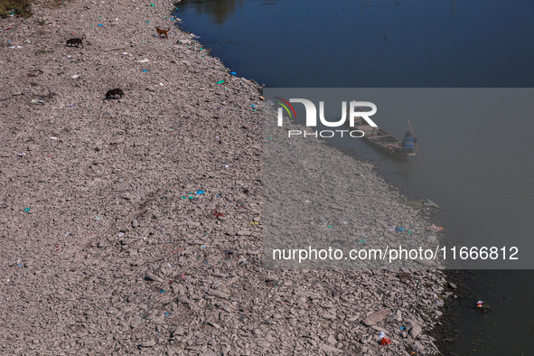 Kashmiri fishermen catch fish as stray dogs search for food on the dried portion of the river as a dry spell reduces the water level of the...