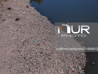 Kashmiri fishermen catch fish as stray dogs search for food on the dried portion of the river as a dry spell reduces the water level of the...