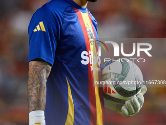 David Raya of Spain looks on before the UEFA Nations League 2024/25 League A Group A4 game between Spain and Denmark at Enrique Roca stadium...