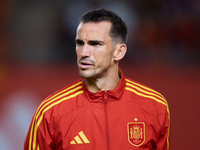 Fabian Ruiz of Spain looks on before the UEFA Nations League 2024/25 League A Group A4 game between Spain and Denmark at Enrique Roca stadiu...